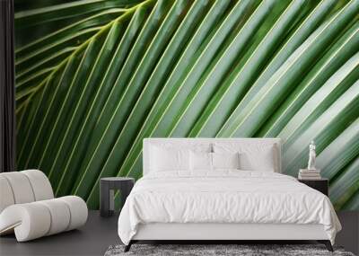 Coconut tree Wall mural