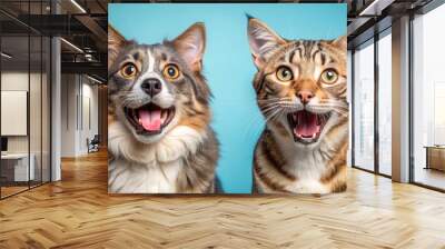 Two Pets With Open Mouths and Wide Eyes, Close-up Portrait, Studio Photography, Fluffy Cat and Dog, Blue Background, animal, pet Wall mural