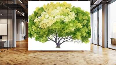 Vector watercolor of blooming tree top view 2 isolated on white background Wall mural