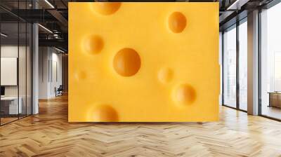 texture of the cheese Wall mural