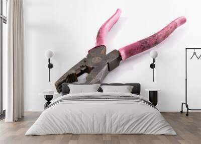 Old and rusty pliers with pink aged handlers Wall mural