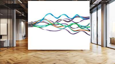 Colorful electrical pair cable used in telecommunications networks isolated on white background Wall mural