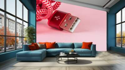 Connection cable with USB plug Wall mural