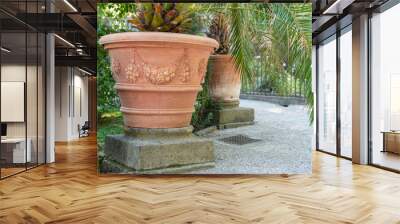 Curly palms in flowerpots in old garden Wall mural