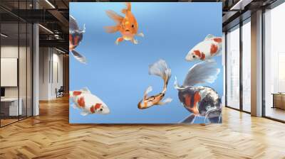 goldfish in water background  Wall mural