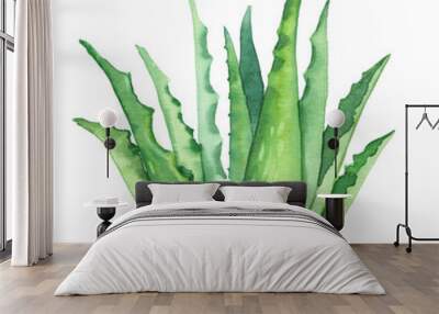 Watercolor hand painted botanical aloe vera plant illustration isolated on white background Wall mural