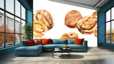 Watercolor hand painted walnut nut and leaves illustration set. Hand drawn watercolor illustration isolated on white background Wall mural