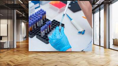 Blood test in the laboratory. Laboratory assistant working with the dispenser. Vacuum tubes with blood Wall mural