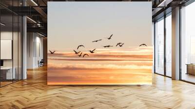 seagulls at sunset Wall mural