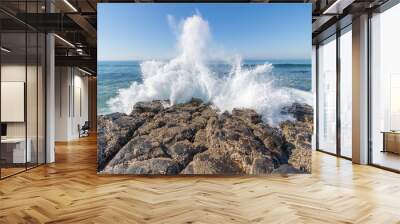 Wave Spary Wall mural