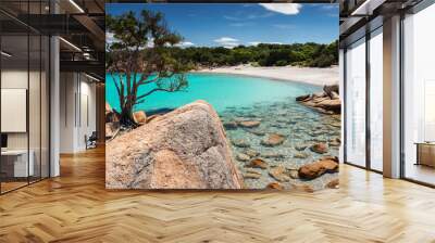 Emerald sea in the beach of Capriccioli,Olbia, Arzachena - Sardinia Wall mural