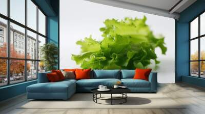 a close up of a leafy green vegetable Wall mural