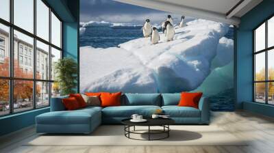 Adele Penguin on Ice in Antarctica Wall mural