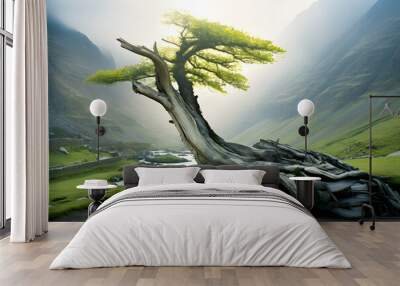 beautiful view of the misty mountains river with tree Wall mural