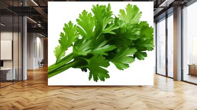 bunch of coriander leaves, isolated over a transparent background, cooking, food or diet design elements, cut-out PNG Wall mural