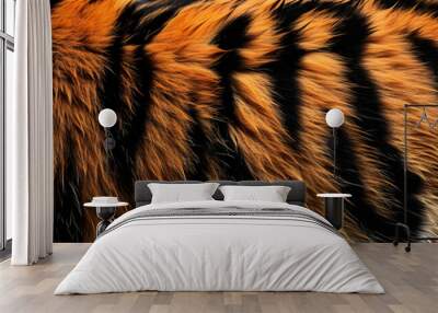 close up of tiger fur background Wall mural