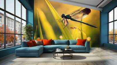 dragonfly on the grass Wall mural