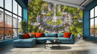 Residential houses drone above aerial view blue sky with park and greenery  Wall mural