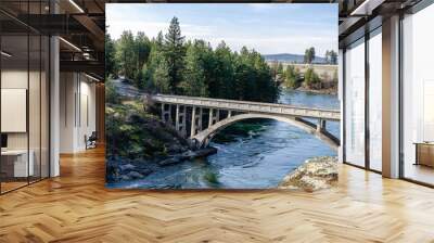 Old Bridge Spanning the Spokane River Wall mural