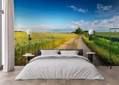 rural road on the edge of the agricultural field summer Wall mural