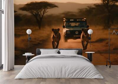 Safari lionesses walking on dirt road in front of safari jeep Wall mural