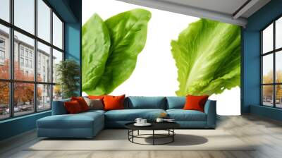 set of salad leaves isolated on transparent background - design element PNG cutout collection Wall mural