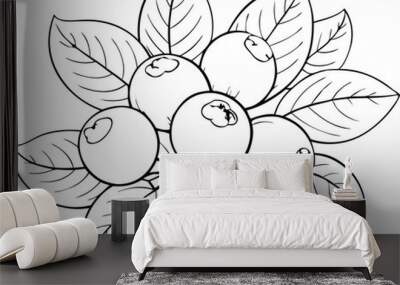 Blueberries in continuous line art drawing style, illustration on white background. Wall mural