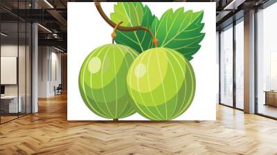 Gooseberry fruit illustration on white background. Wall mural