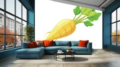 Parsnip vector illustration isolated in white background Wall mural