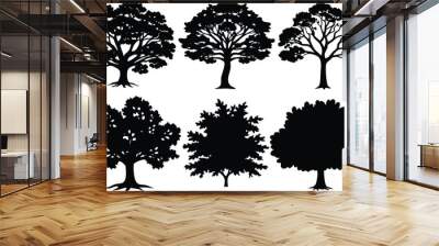 Set of different types Oak tree icon isolated on white background. Wall mural