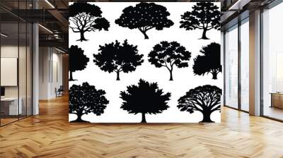 Set of different types Oak tree icon isolated on white background. Wall mural