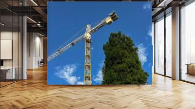 construction crane against blue sky Wall mural