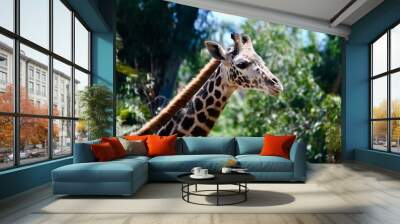 Giraffe Portrait 2 Wall mural