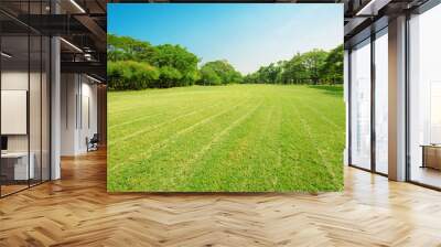 beautiful morning light in public park with green grass field Wall mural