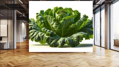 green cabbage isolated on white Wall mural