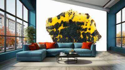 Pressed tortoise shell Wall mural