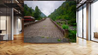 The Twin Bridges are two adjacent arch bridges located in the Arhavi district of Artvin province in northwestern Turkey. Wall mural