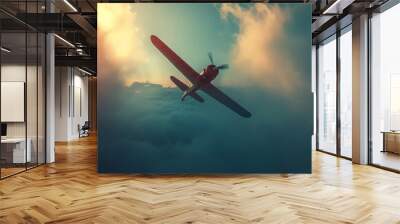 Aeroplane In The Sky Wall mural