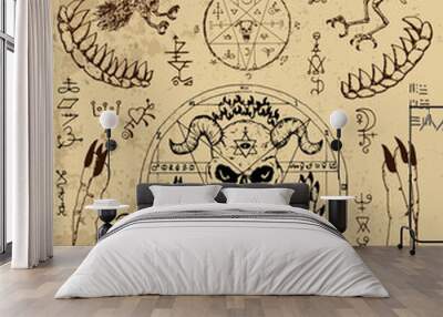 Vector design set with magic seals, demon face, hands, crow and skeleton. Esoteric and occult illustration with mystic and gothic symbols. No foreign language, all elements are fantasy. Wall mural