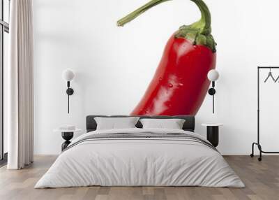 Single fresh red hot chili on an isolated background Wall mural