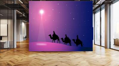 Three Wise Men-Vector Wall mural