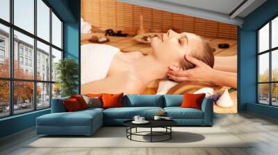 Beautiful young woman having a face massage in spa salon - wellness Wall mural