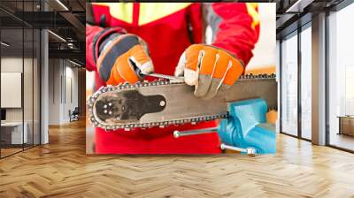 Sharpening a chainsaw
Close up on a man sharpening a chainsaw chain with file. Wall mural