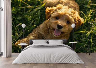 Happy Puppy Playing in Green Grass Wall mural