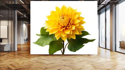 Beautiful yellow flower with green leaves isolated on clear white background Wall mural