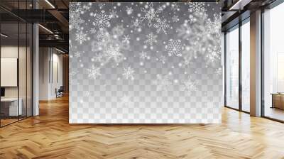 Vector snowfall, snowflakes of various shapes. Many white cold flaky elements on transparent background. White falling fly in the air. Wall mural