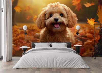 cute dog animal in autumn Wall mural