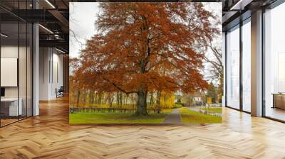 autumn in the park Wall mural