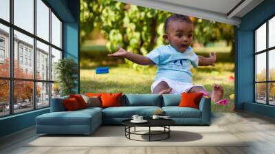 Little african american baby boy playing in the grass Wall mural