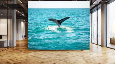 Whale tail Wall mural